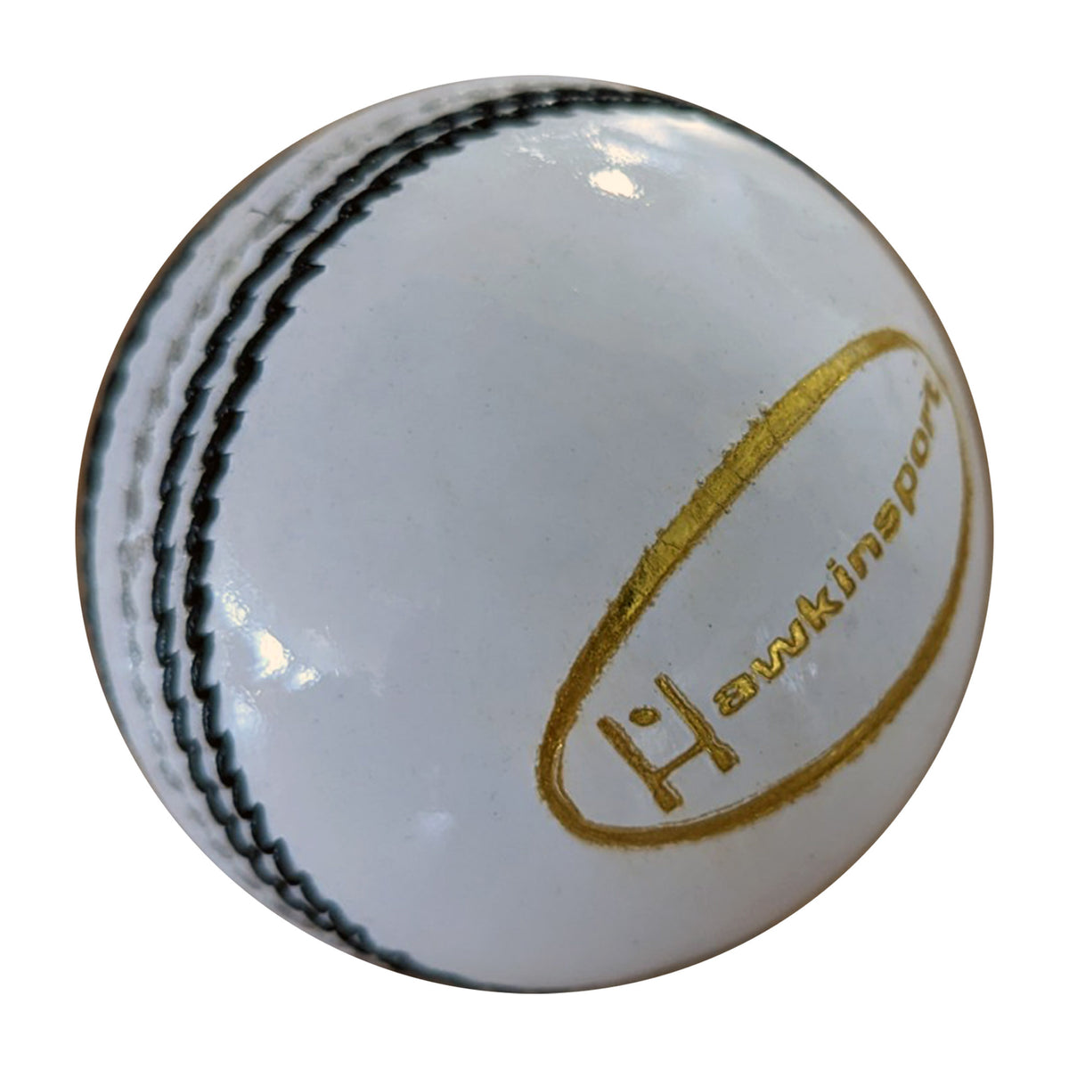 Salamander Super Test T20 Cricket Ball: White